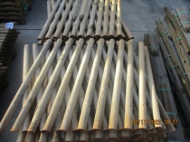 Myśliwski str 250x60 ostrz 23x46